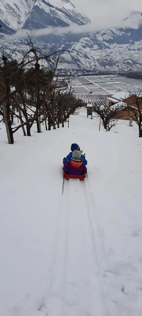 bieudron_luge
