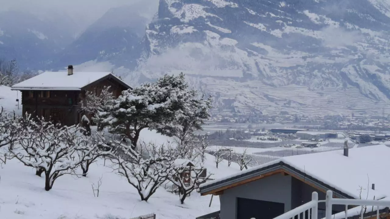bieudron_neige